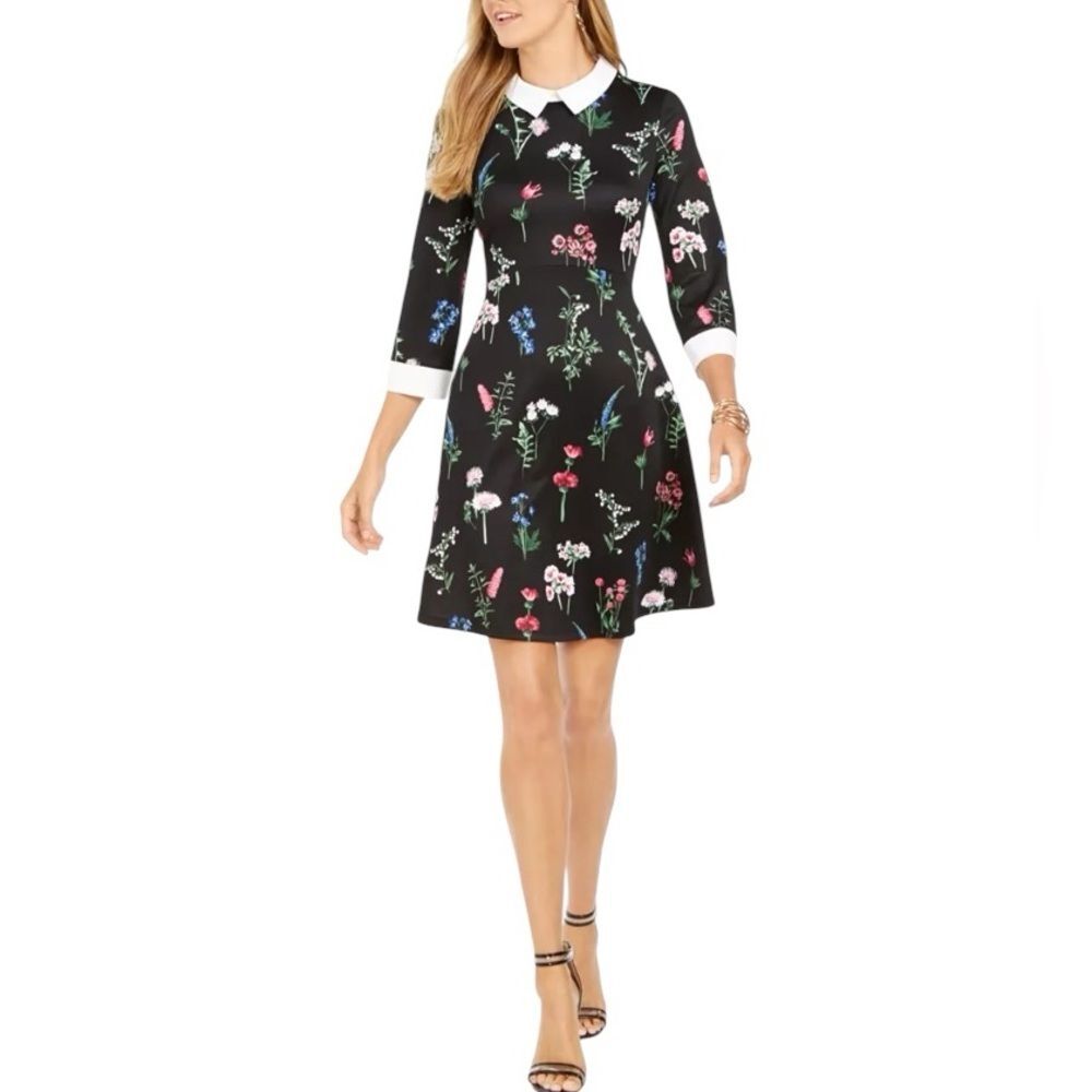 PAPPAGALLO Collared Botanical A-Line Dress with 3/4 Sleeve